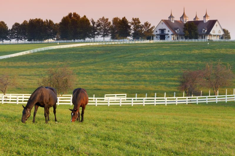 Equine Fence Installation in Sacramento, CA