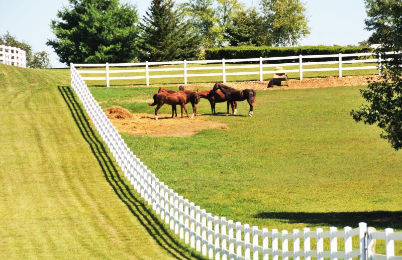 Equine Fence Installation in Roseville, CA