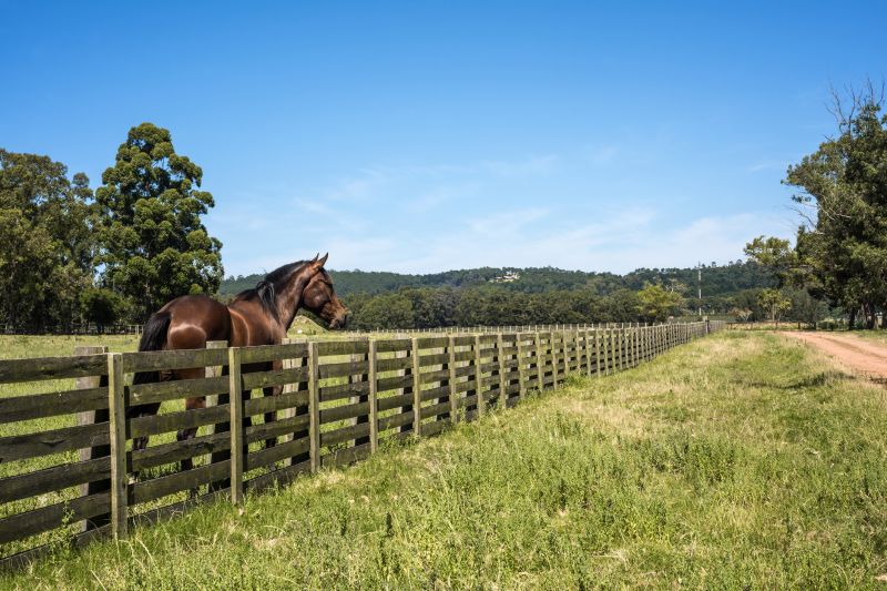 Horse Fence Replacement in Roseville, CA