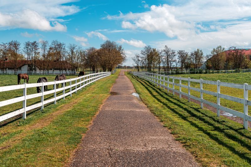 Horse Fence Replacement in Roseville, CA