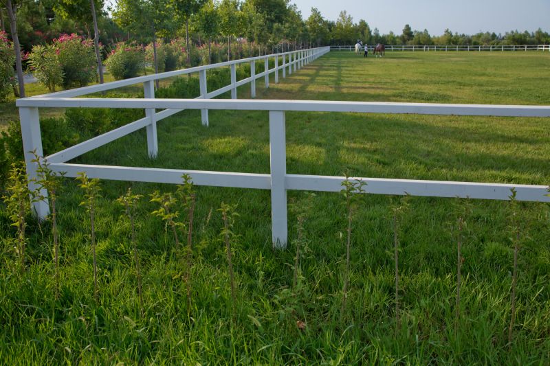 Horse Fence Replacement in South Houston, TX