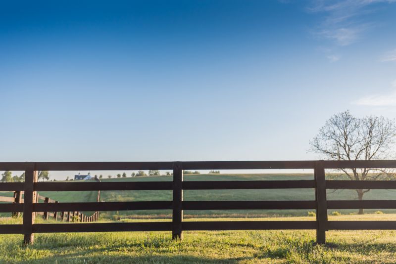 Horse Paddock Installation in South Houston, TX
