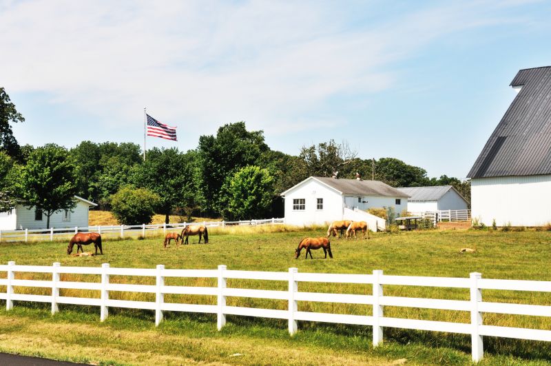 Horse Paddock Installation in South Houston, TX