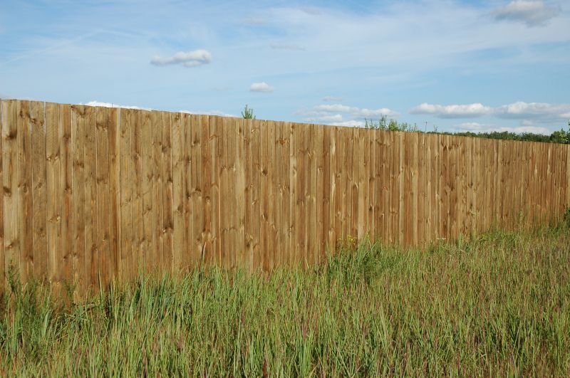 Pine Fence Installation in South Houston, TX