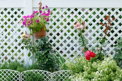 Pvc Lattice Fence Installation in Grand Rapids, MI