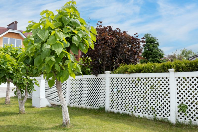 Pvc Lattice Fence Installation in Pearland, TX