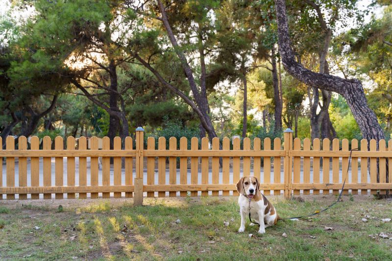 Wooden Dog Fence Installation in Pearland, TX